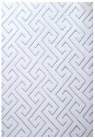 Dywan pluszowy 3D Vision biało-srebrny 140 cm x 200 cm