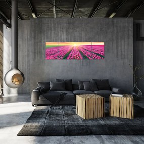 Obraz pole tulipanów ze słońcem (170x50 cm)
