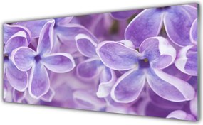 Dekor Szklany do Kuchni Harmonijny Rozkwit Natury