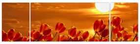 Obraz kwitnącego pola z tulipanami (170x50 cm)