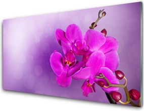 Dekor Szklany do Kuchni Delikatność Płatków Storczyka