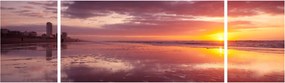 Obraz - Plaża o zachodzie słońca (170x50 cm)