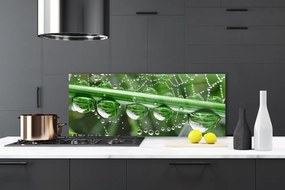 Panel nad blat kuchenny Perlista Pajęczyna W Rosie