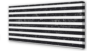 Obraz canvas na ścianę Motyw Zebry i Plam