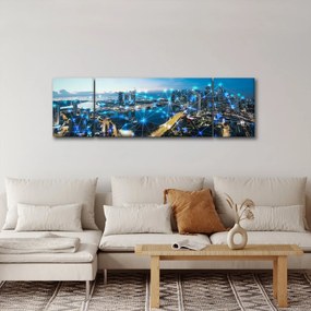 Obraz - Sieć miejska (170x50 cm)