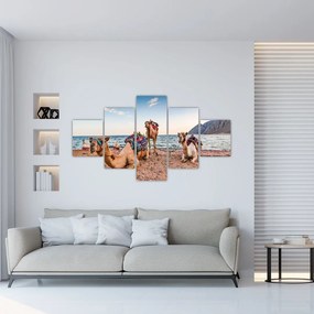 Obraz wielbłądów (125x70 cm)