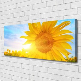 Obraz canvas Słonecznik w Pełnym Rozkwicie