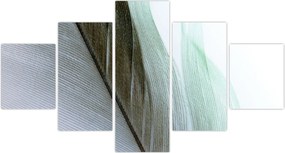 Obraz - Pióra, makro (125x70 cm)