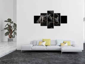Obraz - Czarna Pantera (125x70 cm)