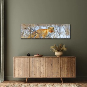 Obraz - Lis (170x50 cm)