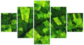 Obraz - Detal liścia (125x70 cm)