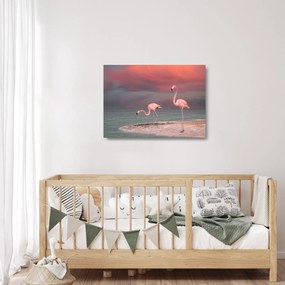 Obraz na szkle flamingów (70x50 cm)
