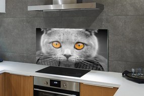 Panel Szklany Dostojny Szary Kot Brytyjski