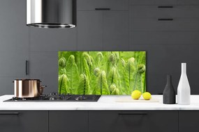 Panel Szklany Świeżość Zielonych Liści