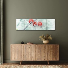 Obraz mrożonych owoców dzikiej róży (170x50 cm)