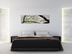 Obraz - Pęknięcia (170x50 cm)