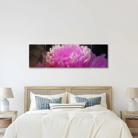Obraz kwiatu w różowym dymie (170x50 cm)