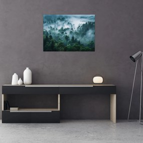 Obraz na szkle - Las we mgle (70x50 cm)