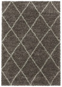 Brązowy dywan 120x170 cm Alvor – Ayyildiz Carpets