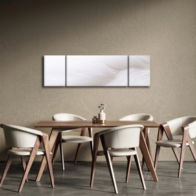 Obraz - Szczegół piórka (170x50 cm)