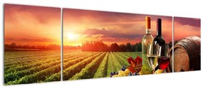 Obraz winnicy z winem (170x50 cm)
