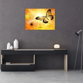 Obraz - Żółty motyl z kwiatkiem (70x50 cm)
