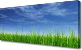 Obraz na płótnie Horyzont nad Zieloną Łąką