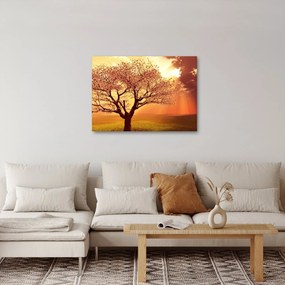 Obraz promieni Boga (70x50 cm)