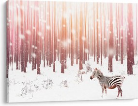 Obraz - Zebra w śnieżnym lesie (70x50 cm)