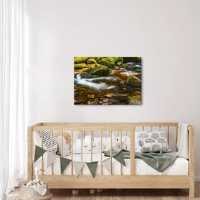 Obraz strumienia (70x50 cm)