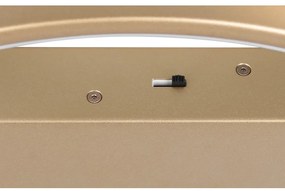 Lampa sufitowa LED ze ściemniaczem w kolorze złota 49x64 cm Darvin – Trio