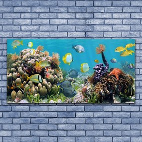 Obraz na płótnie Podwodny Świat Oceanu