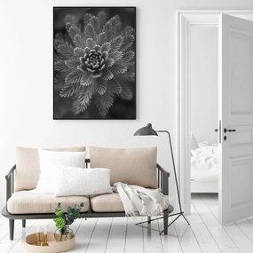 Plakat - Conifer Grey (A4)