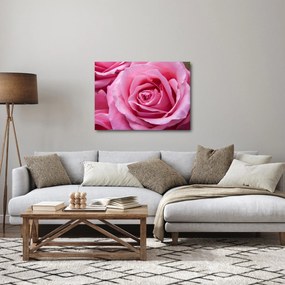 Obraz róży (70x50 cm)