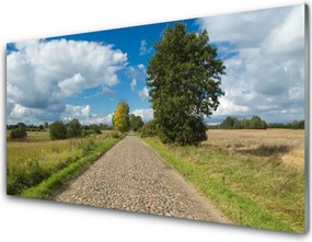 Panel Szklany do Kuchni Wiejska Droga Z Kostki