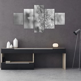 Obraz - Trawa pampasowa Boho (125x70 cm)