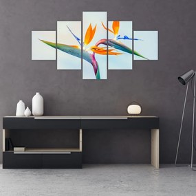 Obraz kwiatu Strelicji (125x70 cm)