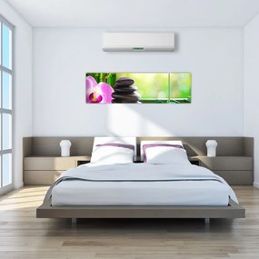 Obraz kamieni do masażu i storczyków na wodzie (170x50 cm)