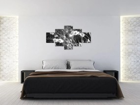Obraz - Pajęczyna na łące (125x70 cm)