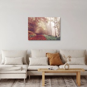 Obraz - Jesienny spacer po lesie (70x50 cm)