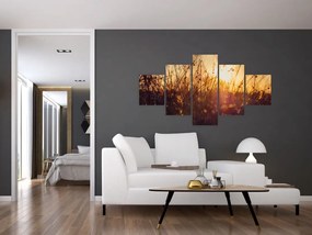 Obraz pola o zachodzie słońca (125x70 cm)