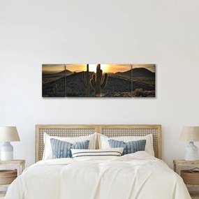 Obraz - kaktusy w słońcu (170x50 cm)