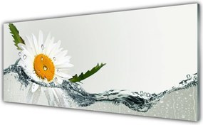 Panel Szklany Biała Stokrotka na Lustrze Wody