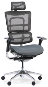 Wielofunkcyjne krzesło biurowe WINSTON SAB, szary