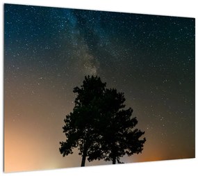 Obraz na szkle - nocne niebo z drzewami (70x50 cm)