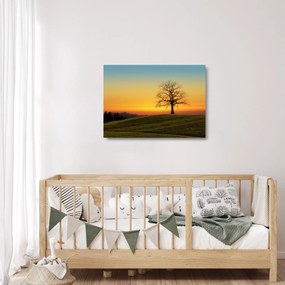 Obraz na szkle drzewa na polu (70x50 cm)