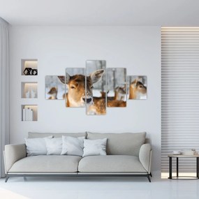 Obraz - Jelonki (125x70 cm)