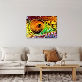 Obraz - Kameleon (70x50 cm)
