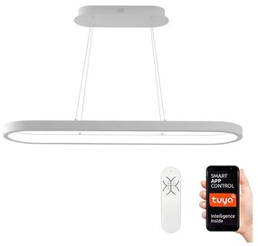 Immax NEO 07077L - LED ściemnialny żyrandol na linkach HIPODROMO LED/66W/230V Tu