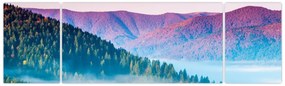 Obraz - Panorama 2 (170x50 cm)